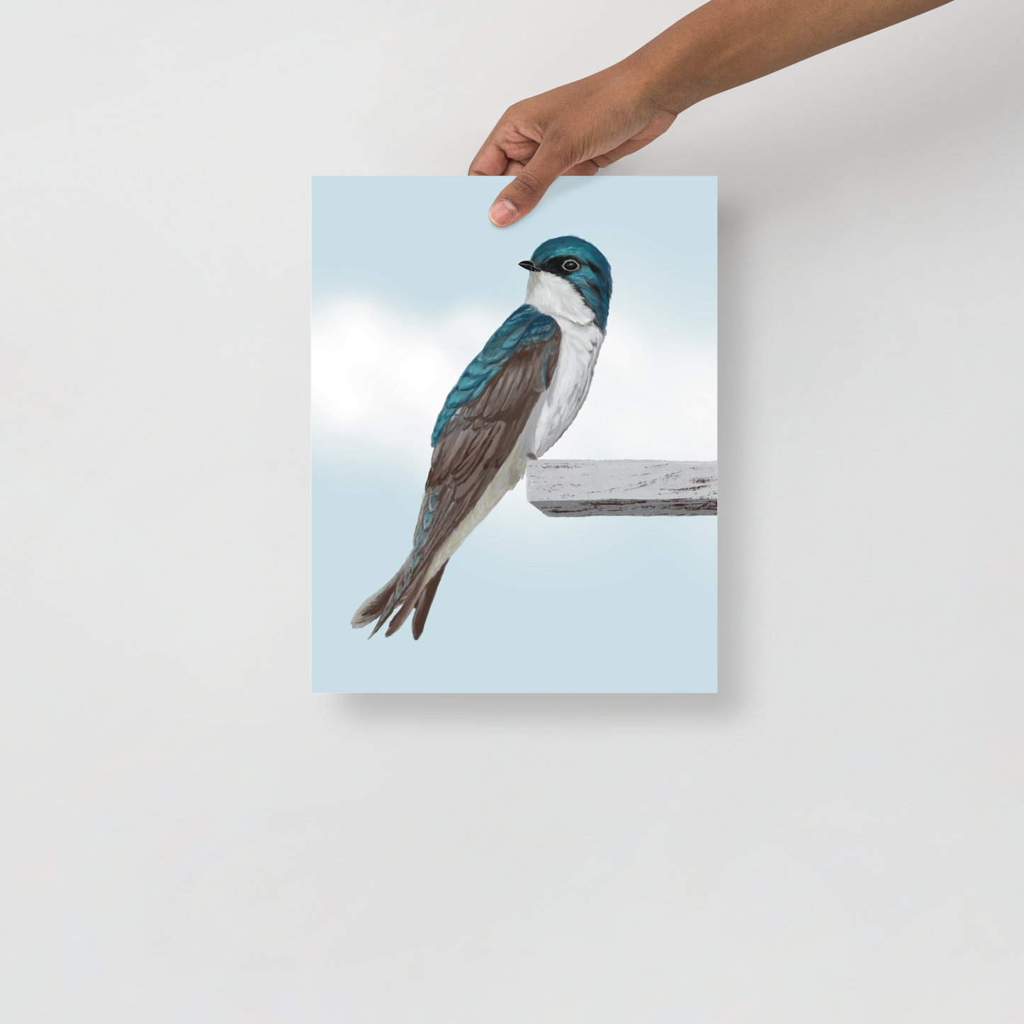 The Swallow Songbird Fine Art Print of Eliska's original artwork